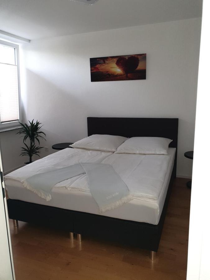 Business Apartment Turgi Exterior photo